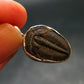Trilobite Silver Pendant from USA - 1.0" - 1.91 Grams