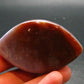 Perfect! 2.6" Agate Shiva Eye from India - 94.73 Grams