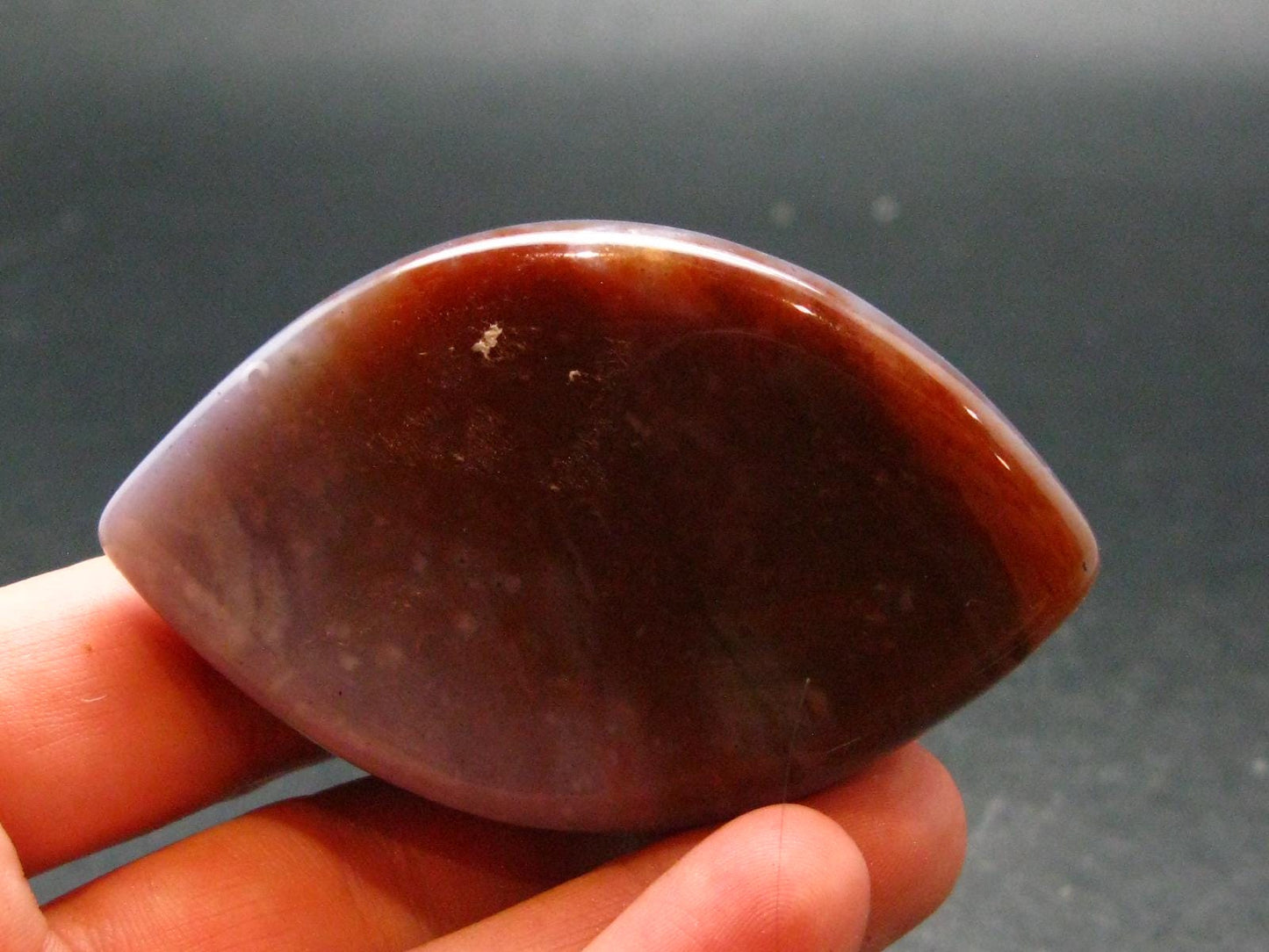 Perfect! 2.6" Agate Shiva Eye from India - 94.73 Grams