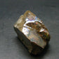 Ammolite Ammollite Fossil From Alberta Canada - 1.1" - 16.24 Grams