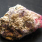 Rhodochrosite Gem Cluster From Peru - 1.3" - 18.18 Grams