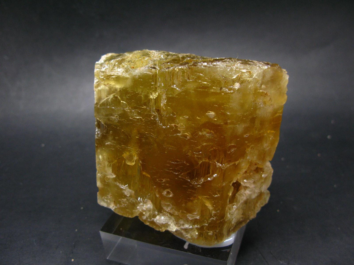 Heliodor (Yellow Beryl) Gem Crystal from Brazil - 548 Grams - 3.9"