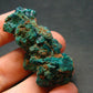 Very Nice Dioptase Cluster from Congo - 1.7" - 19.38 Grams