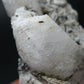 Rare Phenakite Phenacite Cluster from Madagascar - 103.23 Grams - 3.3"