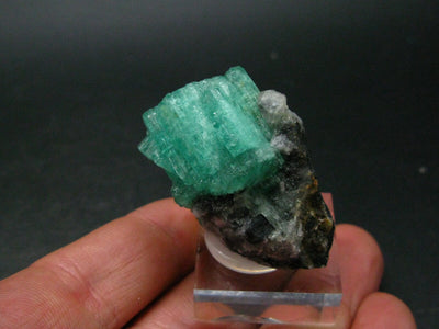 Emerald Beryl Crystal On Matrix From Colombia - 1.6"