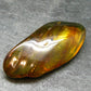 Insects in Amber Piece From Baltic Sea - 6.10 Grams - 2.0"