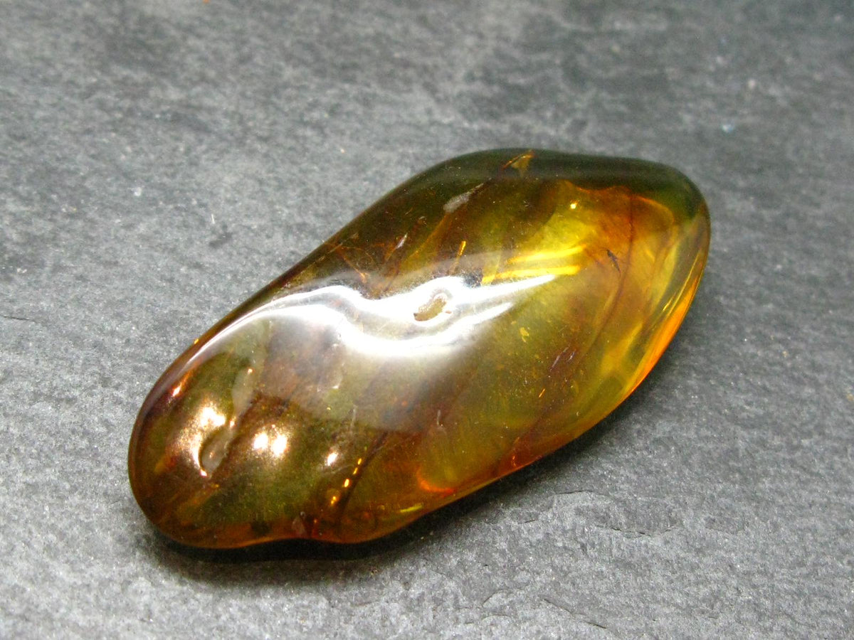 Insects in Amber Piece From Baltic Sea - 6.10 Grams - 2.0"