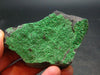 Large Uvarovite (Green Chromium Garnet) Cluster From Russia - 2.9" - 86 Grams