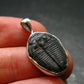 Trilobite Silver Pendant from USA - 1.0" - 2.07 Grams