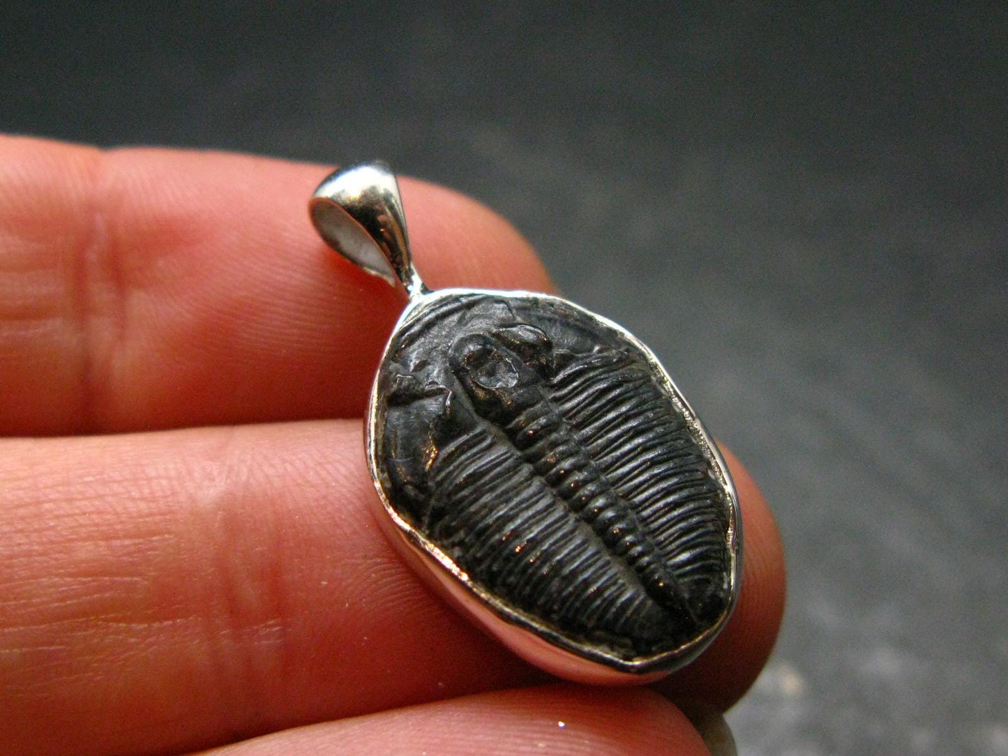 Trilobite Silver Pendant from USA - 1.0" - 2.07 Grams