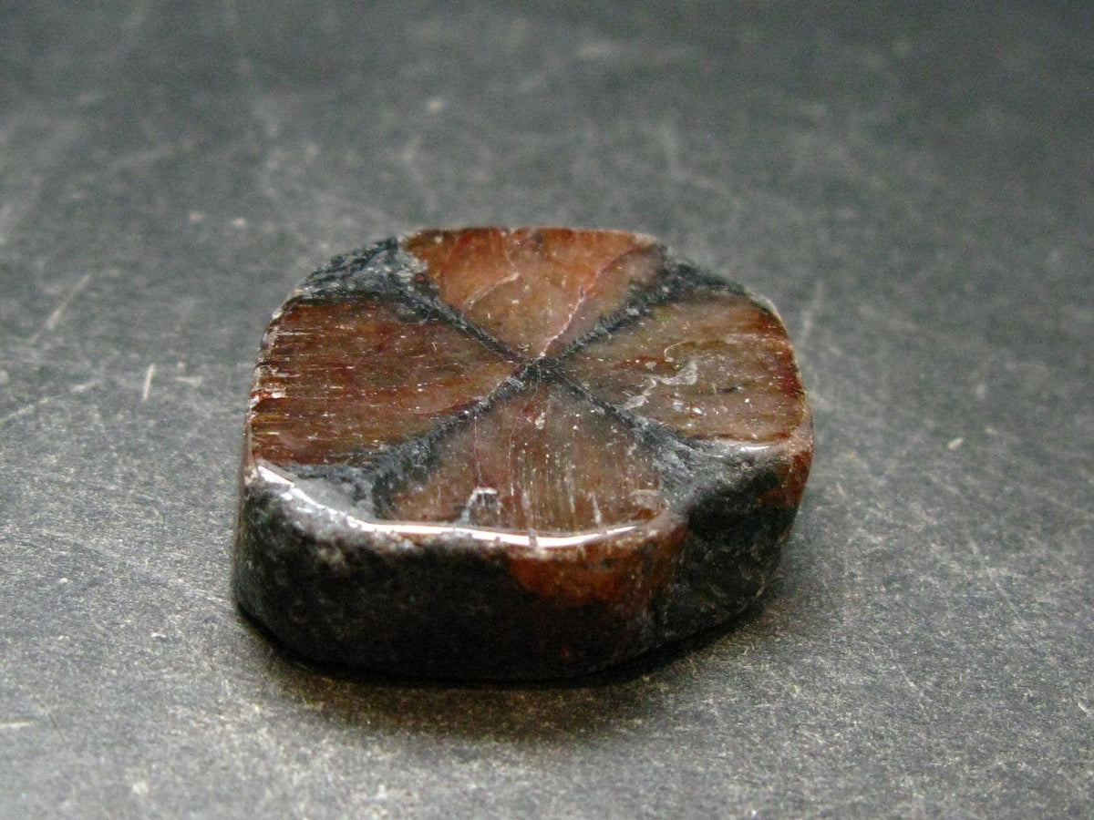 Andalusite Chiastolite Crystal From China - 1.1" - 18.39 Grams