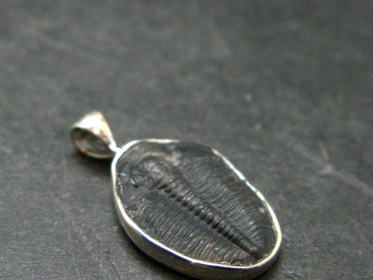 Trilobite Silver Pendant from USA - 1.0" - 1.66 Grams