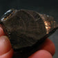 Elite Shungite Raw Piece from Russia - 1.4" - 11.81 Grams