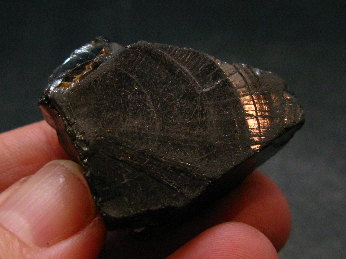 Elite Shungite Raw Piece from Russia - 1.4" - 11.81 Grams