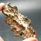 Large Fulgurite Lightning Rock From Sahara Desert - 3.2" - 16.0 Grams