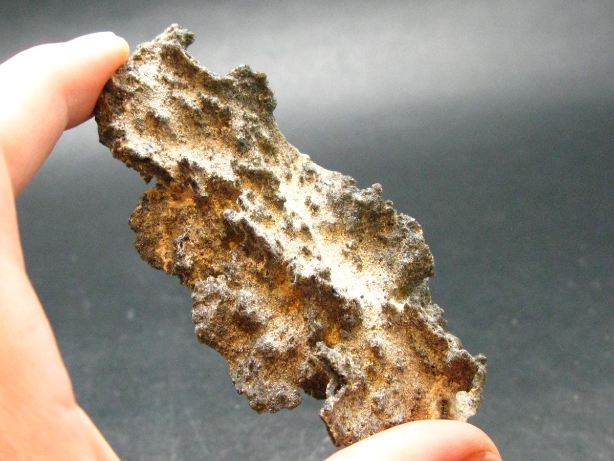 Large Fulgurite Lightning Rock From Sahara Desert - 3.2" - 16.0 Grams