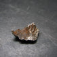 Sikhote Alin Meteorite From Russia - 2.60 Grams - 0.6"