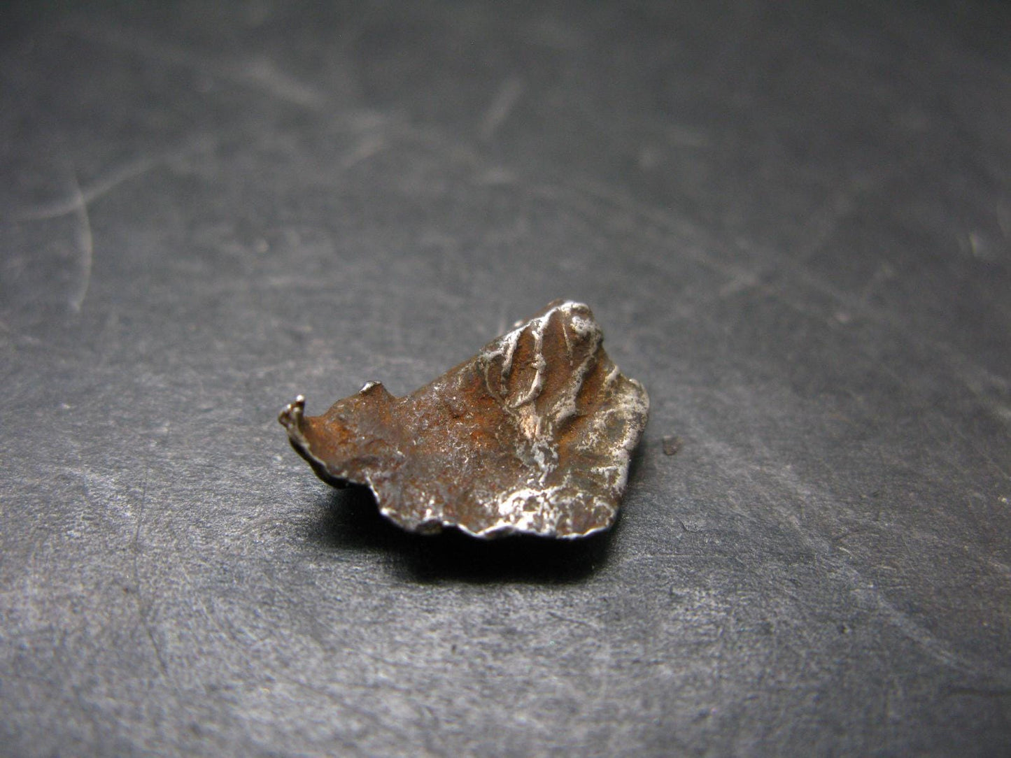 Sikhote Alin Meteorite From Russia - 2.60 Grams - 0.6"