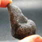 Cintamani Stone from Indonesia - 2.2"