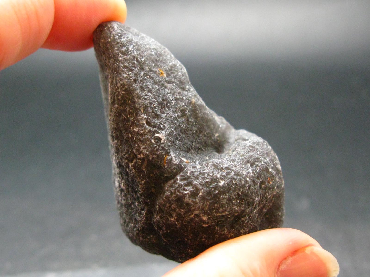 Cintamani Stone from Indonesia - 2.2"