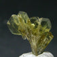 Chrysoberyl Crystal From Madagascar - 3.66 Carats