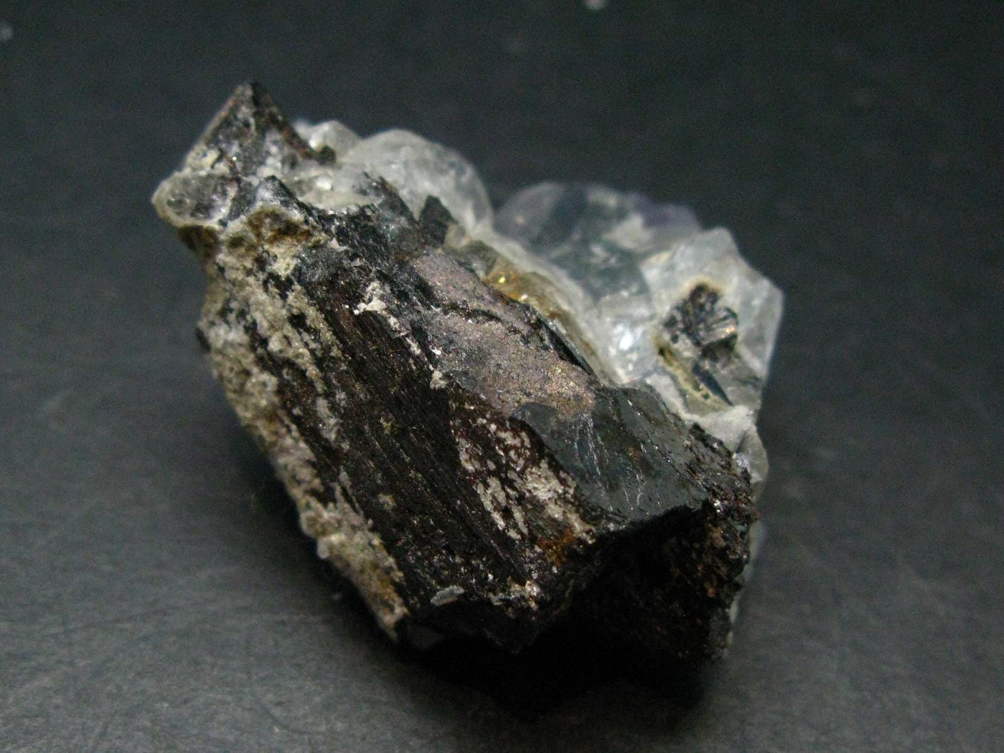 Perfect Wolframite With Fluorite Cluster from Portugal - 2.1"