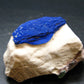 Fine Azurite Cluster From Australia - 2.6" - 95.25 Grams