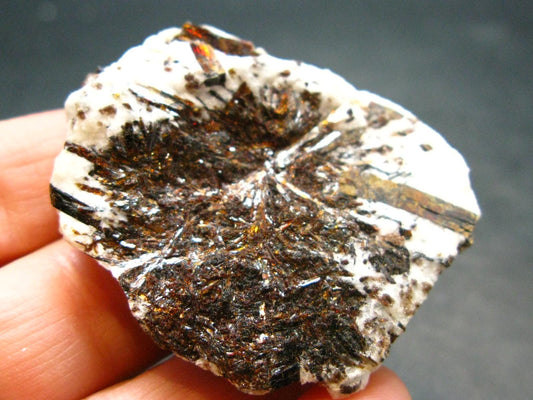 Astrophylite Astrophyllite Cluster From Russia - 1.8" - 35.94 Grams