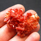 Vanadinite Crystal From Morocco - 1.5" - 23.65 Grams