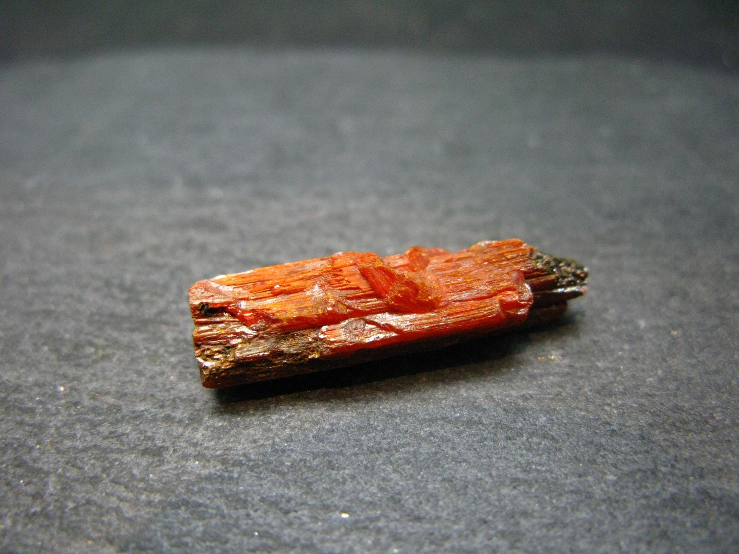 Large Orange Crocoite Crystal From Australia - 1.0" - 20.35 Carats