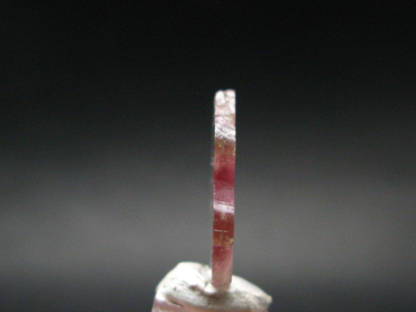 Rare Watermelon Tourmaline Crystal Slice From Brazil - 8.75 Carats