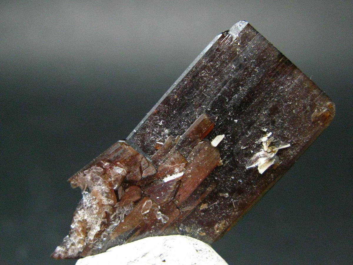 Huge Brookite Crystal From Pakistan - 4.25 Grams - 43 mm