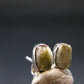 5.70 Carat Phenakite Phenacite Sterling Silver Stud Earrings from Brazil