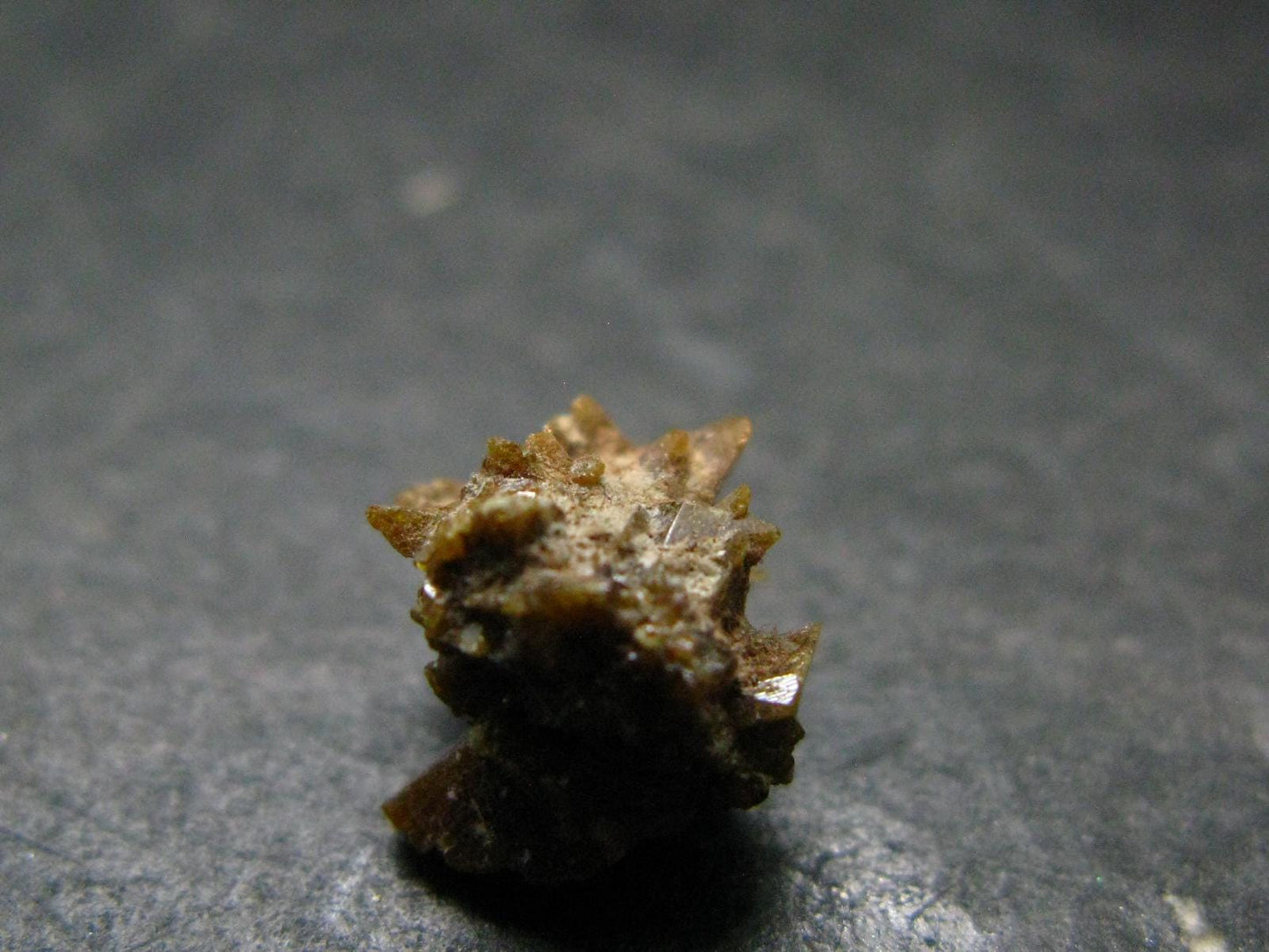 Rare Monazite Crystal From Brazil - 0.4" - 1.09 Grams