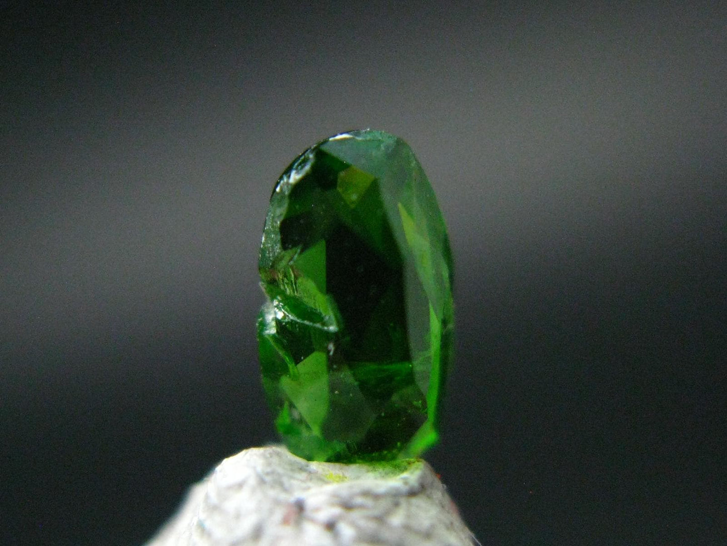 Pargasite Facetted Cut Stone from Pakistan- 0.49 Carats
