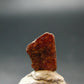 Mangano Tantalite Crystal From Brazil - 0.5" - 10.85 Carats