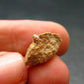 Rare Monazite Crystal From Brazil - 0.6" - 1.71 Grams