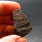 Columbite Crystal From Brazil - 1.2" - 30.10 Grams