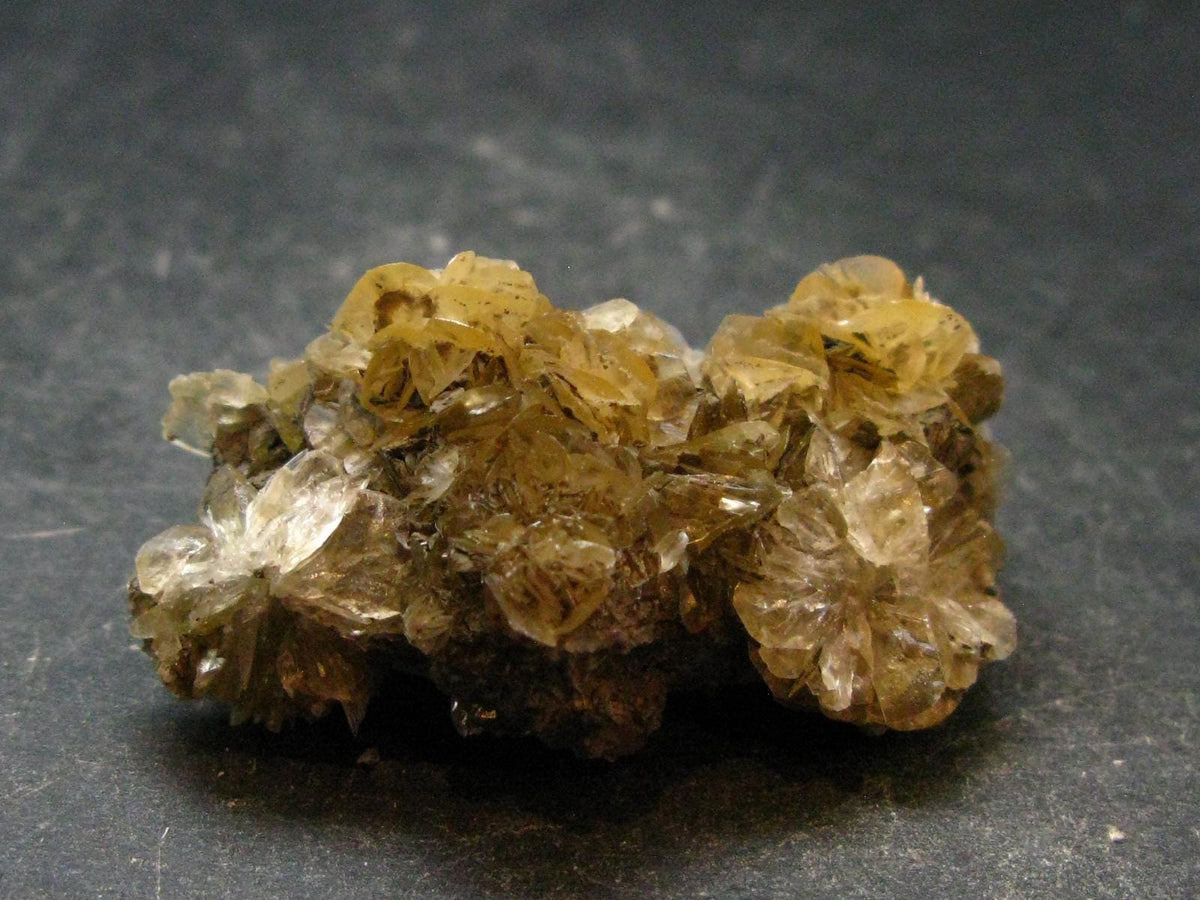 Amazing Fluorescent Gypsum Cluster from Canada - 1.6" - 15.28 Grams