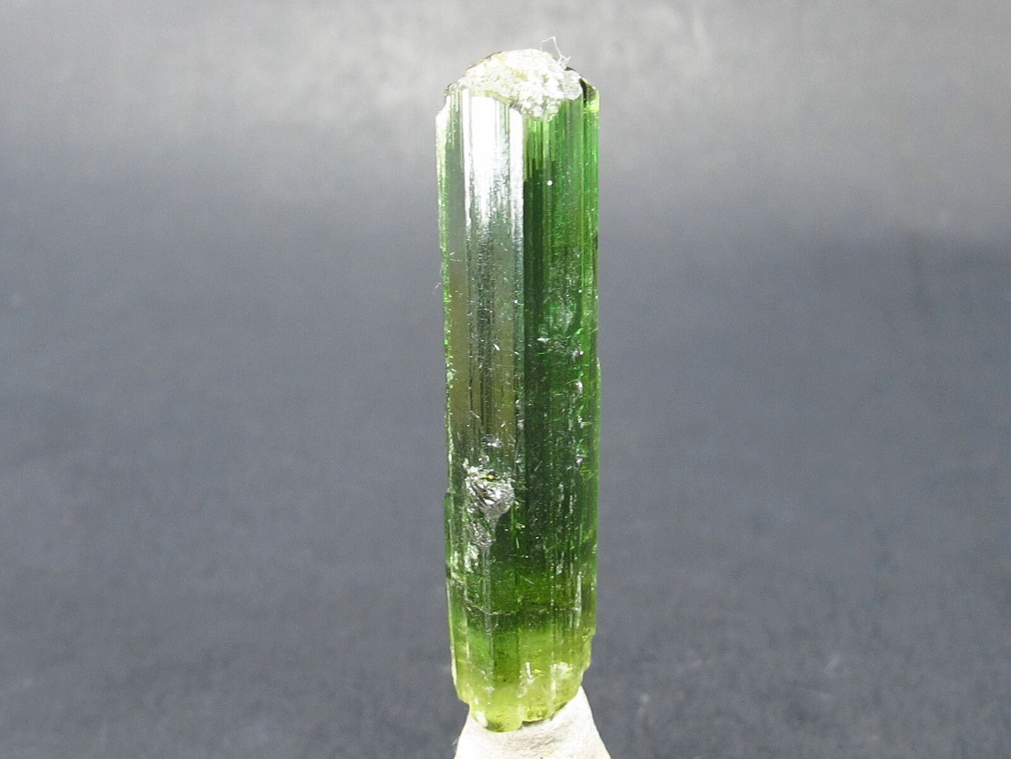 Green Tourmaline Crystal From Brazil - 1.7" - 36 Carats