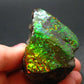 Ammolite Ammollite Fossil From Alberta Canada - 1.9" - 111.30 Grams