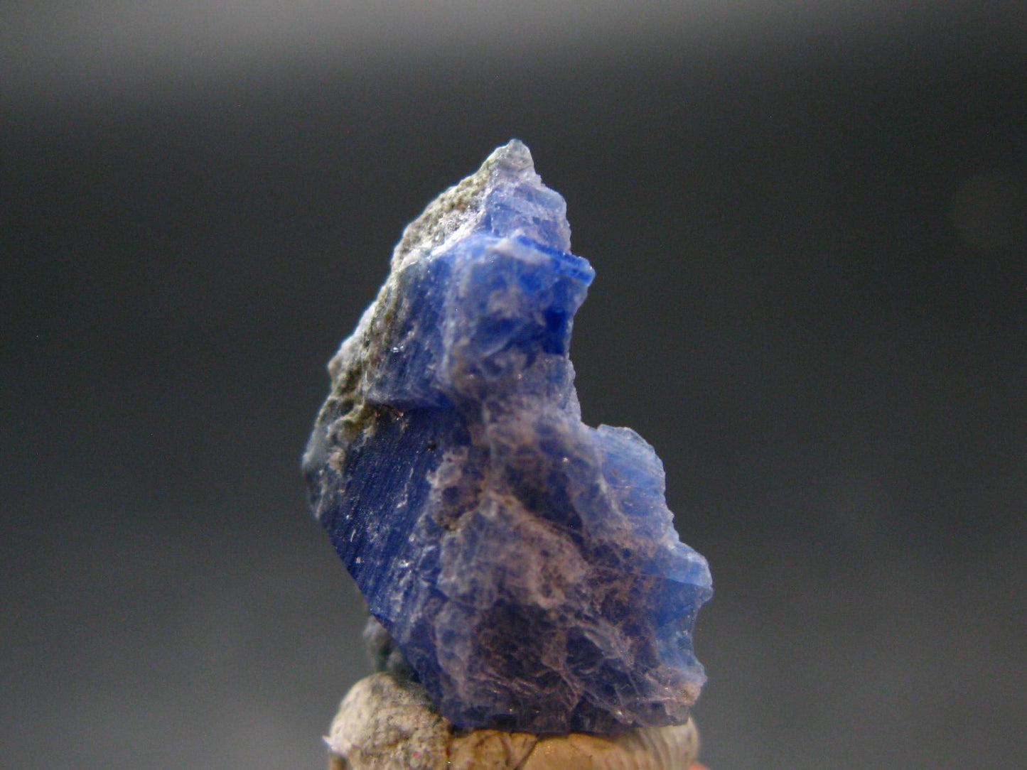 Fine Rare Carletonite Crystal From Mt. St. Hilaire Canada - 0.7" - 1.51 Grams