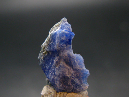 Fine Rare Carletonite Crystal From Mt. St. Hilaire Canada - 0.7" - 1.51 Grams