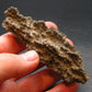 Large Fulgurite Lightning Rock From Sahara Desert - 3.3"