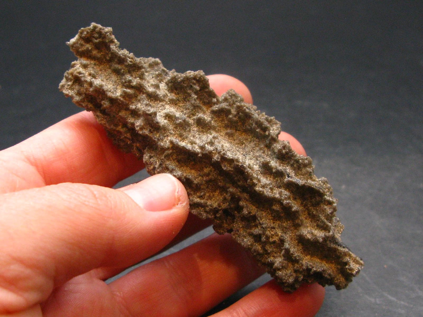 Large Fulgurite Lightning Rock From Sahara Desert - 3.3"
