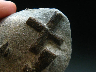 A Perfect Staurolite Crystal on Matrix from Russia - 3.3" - 138.46 Grams