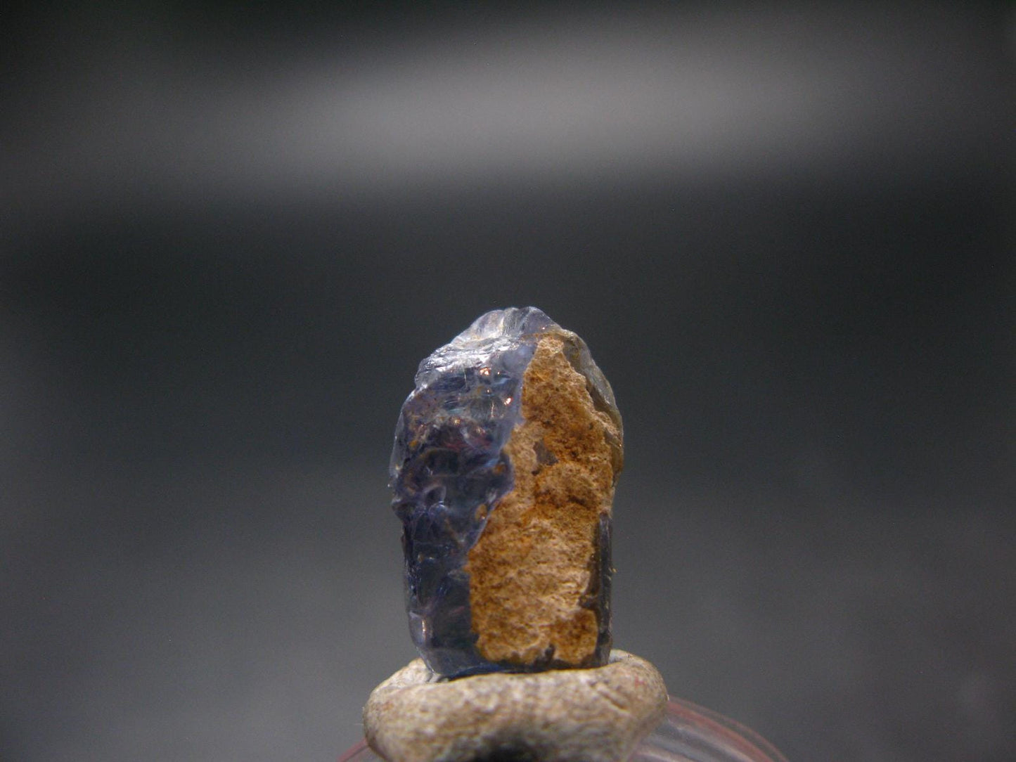 Fine Gem Tanzanite Zoisite Crystal From Tanzania - 10.45 Carats - 0.6"