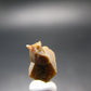 Rare Monazite Crystal From Brazil - 0.4" - 0.73 Grams