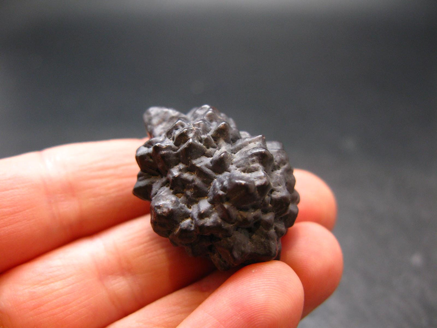 Very rare Z-Stone (Limonite after Marcasite) from Sahara Dessert, Egypt - 1.2" - 22.73 Grams