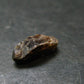 Rare Xenotime Crystal from Brazil - 0.5" - 0.92 Grams